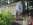 sml_CIMG0090.JPG