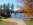 sml_img_7932.jpg